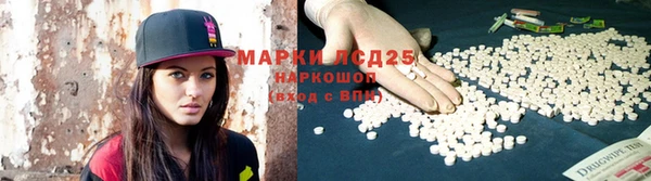 трава Аркадак